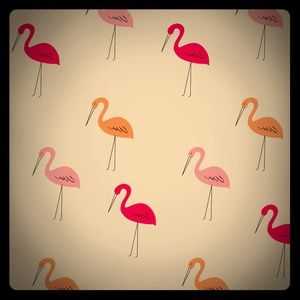 Meet your Posher, Ana k.